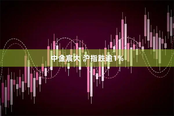 中金宸大 沪指跌逾1%