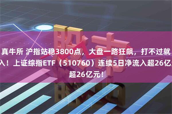 真牛所 沪指站稳3800点，大盘一路狂飙，打不过就加入！上证综指ETF（510760）连续5日净流入超26亿元！