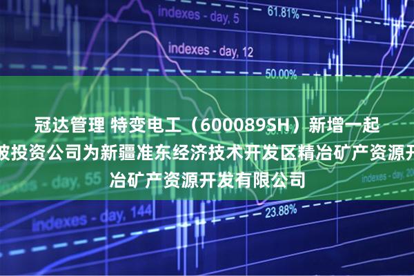冠达管理 特变电工（600089SH）新增一起对外投资，被投资公司为新疆准东经济技术开发区精冶矿产资源开发有限公司