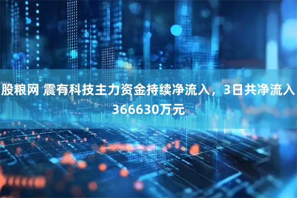 股粮网 震有科技主力资金持续净流入，3日共净流入366630万元