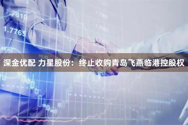 深金优配 力星股份：终止收购青岛飞燕临港控股权